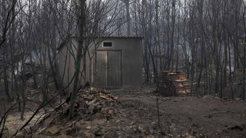 Casa quemada a causa del incendio forestal.