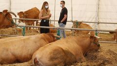 Feria de ganado y subasta en Adai el pasado mes de junio