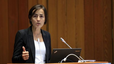 La directora general de Tr�fico, Mar�a Segu�