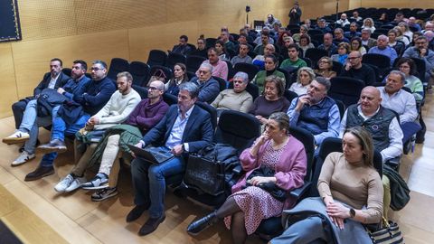 Asistentes a la jornada sobre retirada de amianto en edificios pblicos organizada por la Diputacin de Ourense.