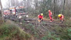 Efectivos del parque de bomberos de As Pontes retiran rboles derribados por el temporal en enero, en Pontedeume