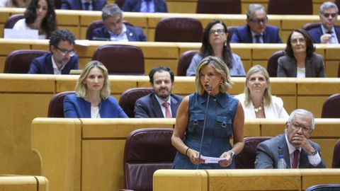 La portavoz del PP en el Senado, Alicia Garc�a, interviene en la sesi�n de control al Gobierno celebrada el martes pasado.