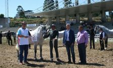 Alfonso Rueda entreg� el premio al propietario de Gracioso D., de la yeguada  Swen Uwe, de Xinzo.