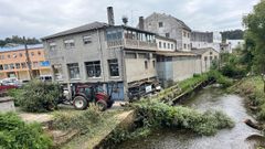 Retirada de un �rbol de grandes dimensiones en el cauce del Mendo, en Betanzos.