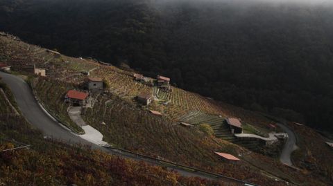 Vias en San Fiz (Chantada)