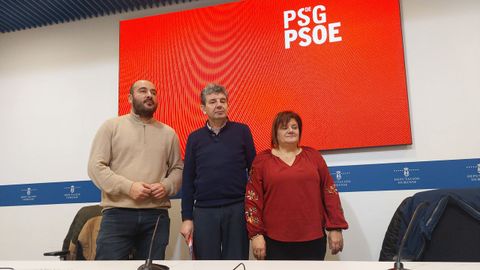 El PSOE anunci� su propuesta en una rueda de prensa.