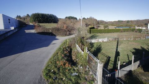 Detr�s de la zona comercial. Los jabal�es que salen a Duquesa de Lugo se refugian muy posiblemente en la zona arbolada que hay detr�s de varias naves comerciales de As Termas. �scar cela