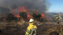 �Pensamos que ard�amos todos�