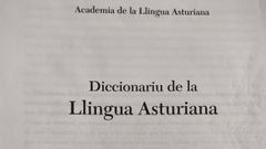 Diccionario de Lengua Asturiana.