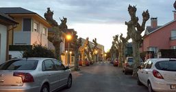 El robo ocurri� en la calle que comunica con el cementerio de Ribadeo el jueves por la tarde. 