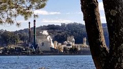 La factor�a de Ence en Louriz�n