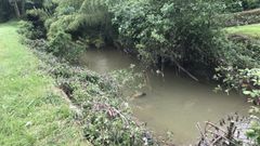 Estado en el que se encuentra el r�o Pinzales, en Gij�n