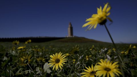 Torre de H�rcules