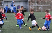 El Escolas Lu�s Calvo Sanz moviliza a 250 deportistas, repartidos en 14 equipos federados. 