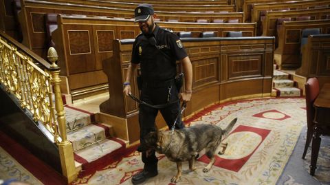 Controles de seguridad en el Congreso antes de la llegada de los parlamentarios. 
