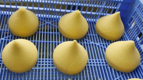 Queso de tetilla: En Valencia ya hay quien ha pedido que la paella tenga un emoji en el catálogo de Whatsapp, así que aquí no nos vamos a quedar atrás y queremos que el delicioso queso de tetilla tenga representación entre los alimentos de la aplicación.