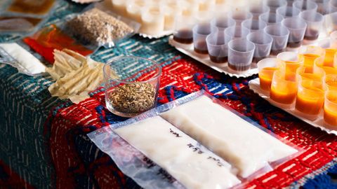 Prototipos de bebidas, salsas, cremas y panes elaborados con la avena negra gallega