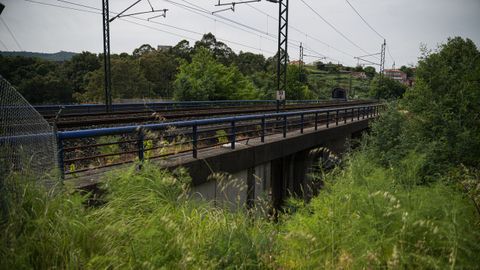 Maleza en el entorno de la vía del tren en Pontevedra.