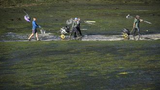 Mariscadores yendo a trabajar este oto�o en la r�a de Pontevedra