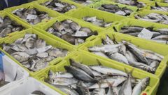 Venta de pescado en la Lonja de Malpica en una imagen de archivo.
