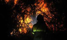 Un bombero en plena faena atajando uno de los m�ltiples fuegos registrados en Agolada estos d�as. 
