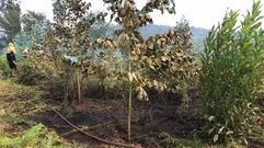 Foto de archivo de un incendio forestal que se produjo el pasado mes de agosto en el municipio de Ames