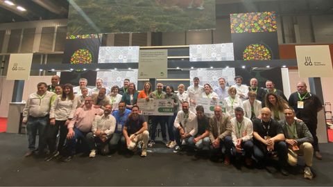 Mejor Cachopo de Ternera Asturiana 2023