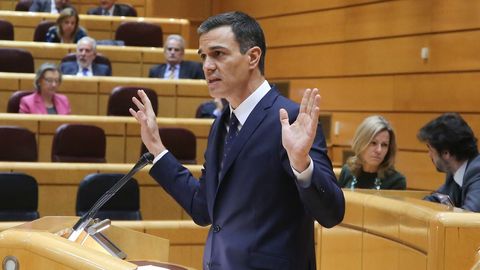 El presidente del Gobierno, Pedro Snchez, durante un pleno en el Senado