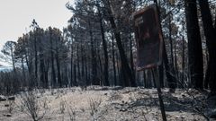 El rastro del fuego en Guadalajara, con una se�al quemada: �No m�s colillas, peligro de incendio�