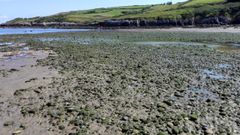 Playa de Ba�ugues, Goz�n