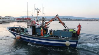 Un pesquero de bajura navegando por Cambados en junio del 2023