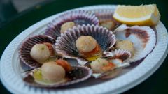 Un plato de zamburi�as