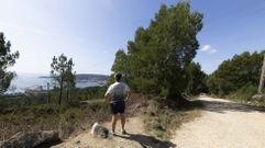 CAMIÑO. La traza del Camiño a Fisterra, a su paso por Brens, en el municipio de Cee, fue una de las más afectadas por los incendios y las posteriores riadas. En la actualidad está regenerada