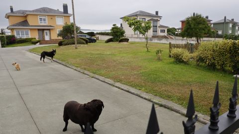 Chal�s que tienen orden de derribo de la Aplu frente a la playa de L�ngara, en Barreiros