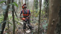 Trabajos forestales en un monte de Ortigueira, en una fotografa de archivo