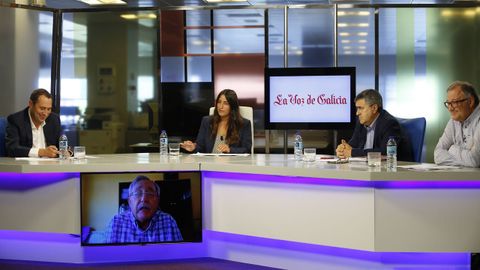 Ternera Gallega ante la crisis del covid-19: propuestas para ayudar al vacuno de carne