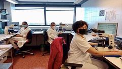 T�cnicos superiores sanitarios de Pontevedra y O Saln�s