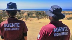 El Cabildo de Gran Canaria investiga si hubo delito ambiental en el reto viral de la bsqueda del tesoro en las dunas de Maspalomas