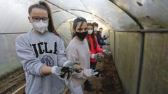 El colegio P�o XII incluy� en el Plan Proxecta las actividades del programa Voz Natura