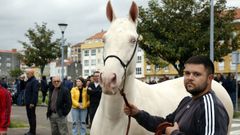 La Feira Cabalar de San Marcos en Noia fue un �xito