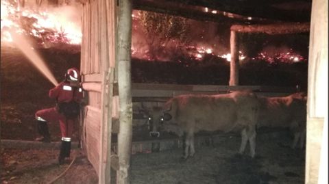 Noche de intenso trabajo en la defensa de viviendas y establos en la población de San Salvador