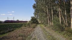 Vista de los terrenos donde se construir� la nueva estaci�n ferroviaria de mercanc�as, en Orro (Culleredo)