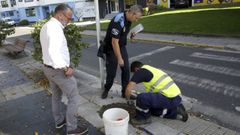 Imagen de archivo de una operaci�n conjunta entre la Polic�a Local de Cambre y la Guardia Civil en el municipio