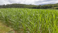 En el�Banco de Terras hay 19.000 parcelas incorporadas