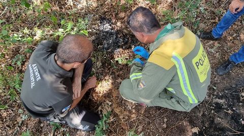 En los incendios declarados en Trasalba se encontraron pastillas de encendido