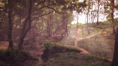 Bosque de Ashdown