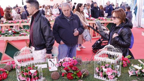 Tambi�n se organizaron talleres para ni�os y adultos, con propuestas como arte floral, origami o actividades de dibujo dedicadas a la camelia.