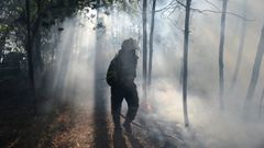 El incendio m�s grave en el per�odo analizado ocurri� en el a�o 2015 en Palm�s (en la imagen).