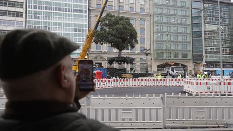 Traslado del metrosidero del Cant�n Grande