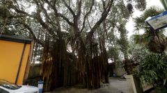 Imagen de archivo del metrosidero del cuartel de la Polic�a Local